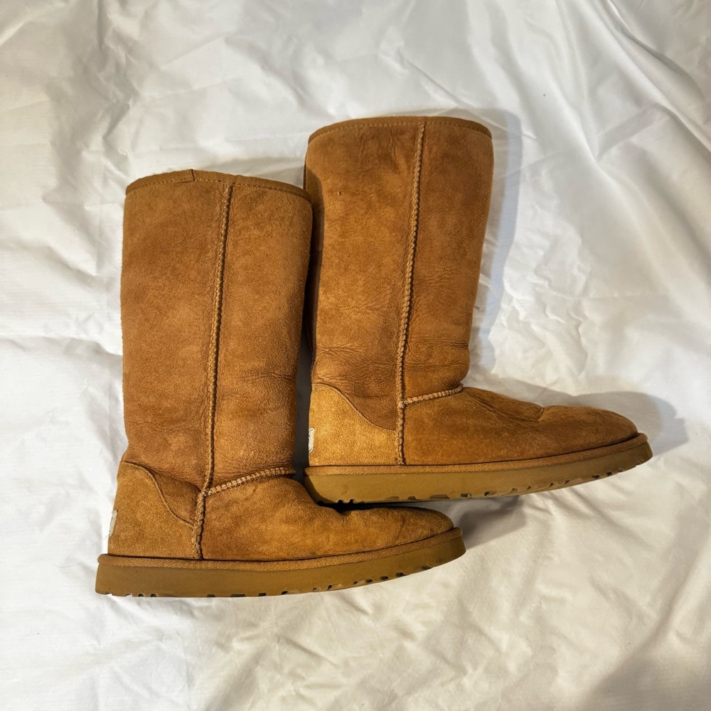 UGG Chestnut Suede Boots